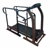 Беговая дорожка AMF 8612H+ поручни D1 Беговая дорожка AMF 8612H+ поручни D1